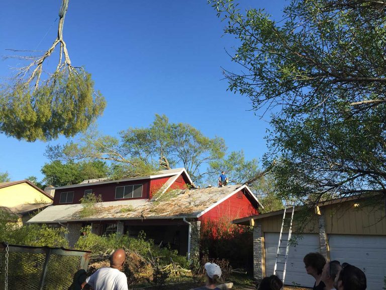 photo5 Happy Tree Service of Austin