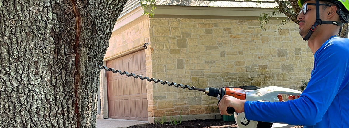 015FFD68-99E9-4F24-8E5B-71423D51D67F