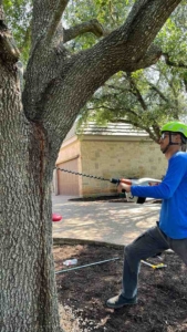 015FFD68-99E9-4F24-8E5B-71423D51D67F