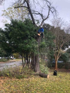 62939952462__C001B295-480C-46D3-8472-2B54DEA6D06A