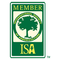 ISA Member