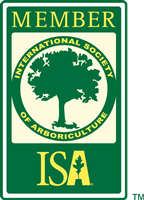ISA Member