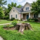 stump grinding or removal