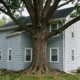 tree topping vs crown reduction